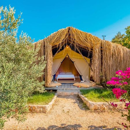 Kaş Joy Glamping Otel Oda fotoğraf