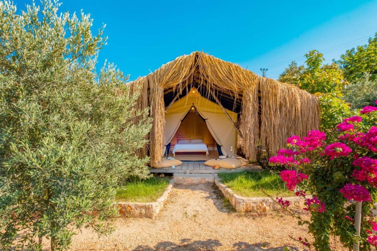 Kaş Joy Glamping Otel Dış mekan fotoğraf