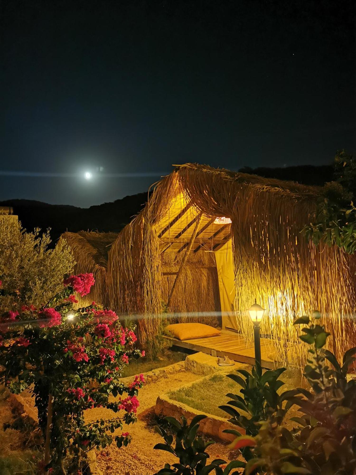 Kaş Joy Glamping Otel Oda fotoğraf